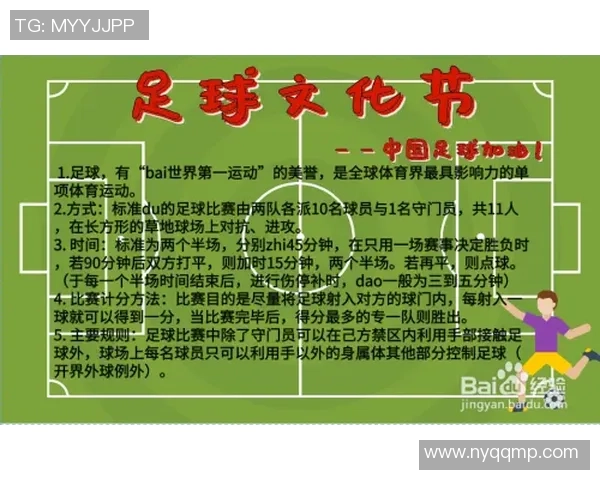 足球最大区的魅力探索与发展潜力分析在全球体育文化中的重要地位